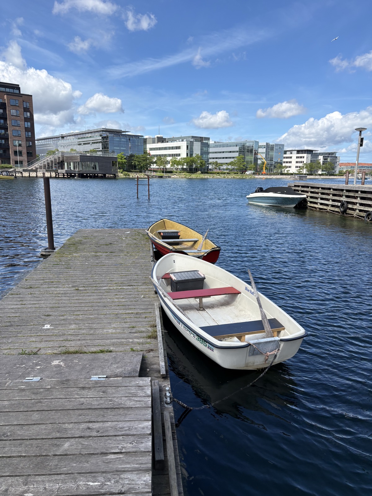 Robådene ved broen med havnen bagved